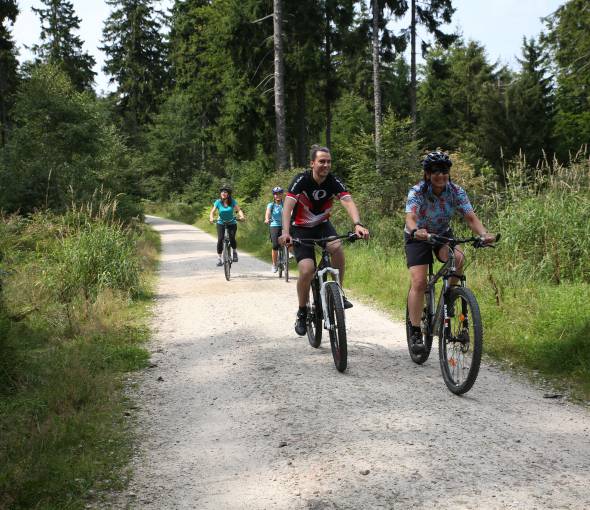 Cycling in the Taunus: Exploring the region by bike - TaunusTagungshotel